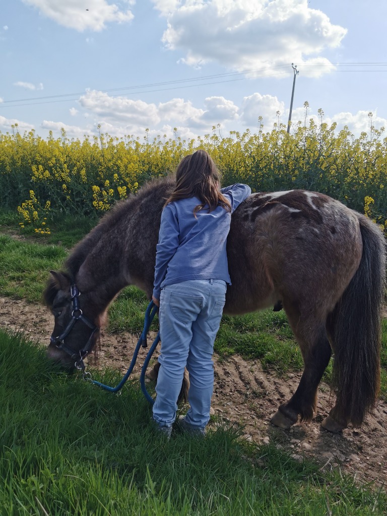 photo seance EquiTerra 45