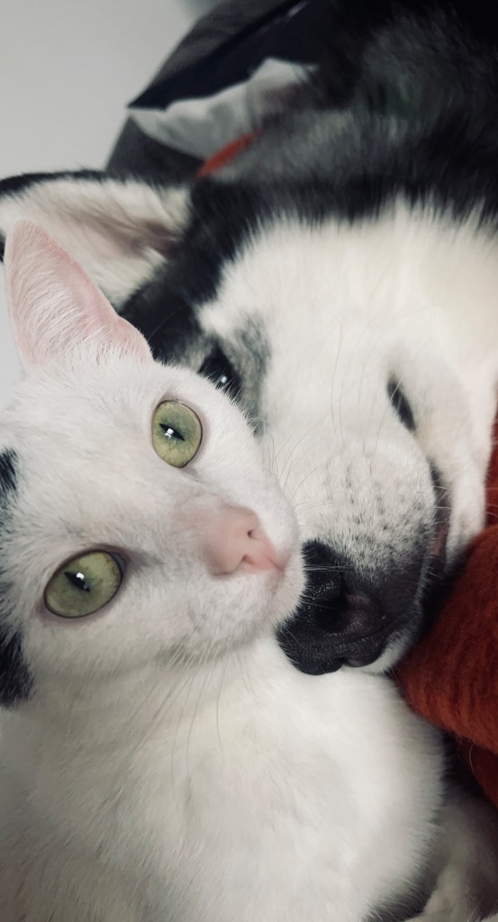 photo portrait Douce Fleur