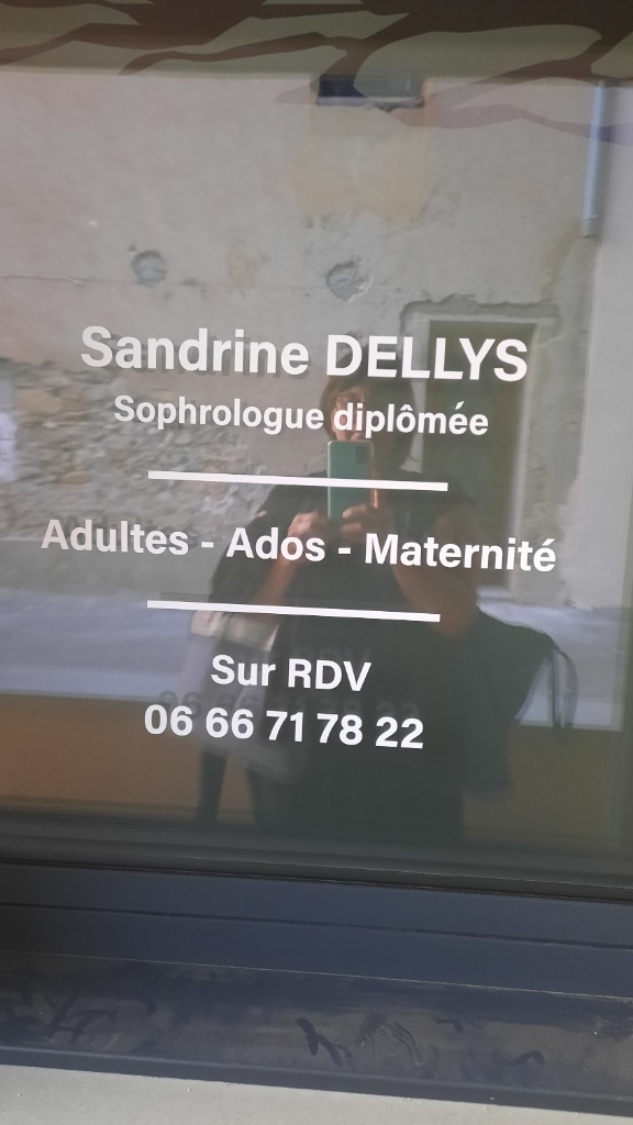 photo activite DELLYS