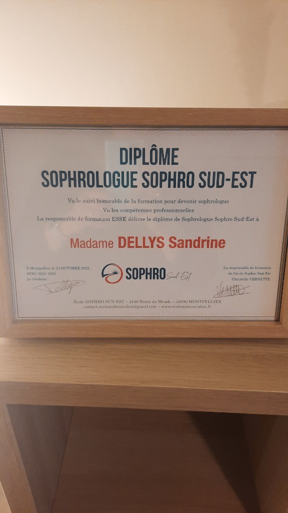 photo diplome DELLYS