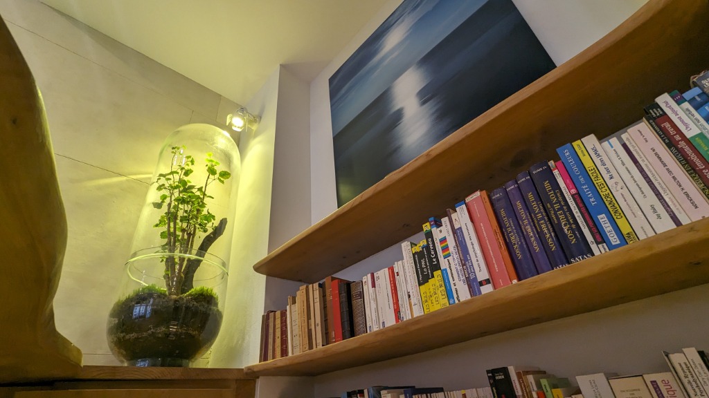 photo activite GERALD VASSELLE