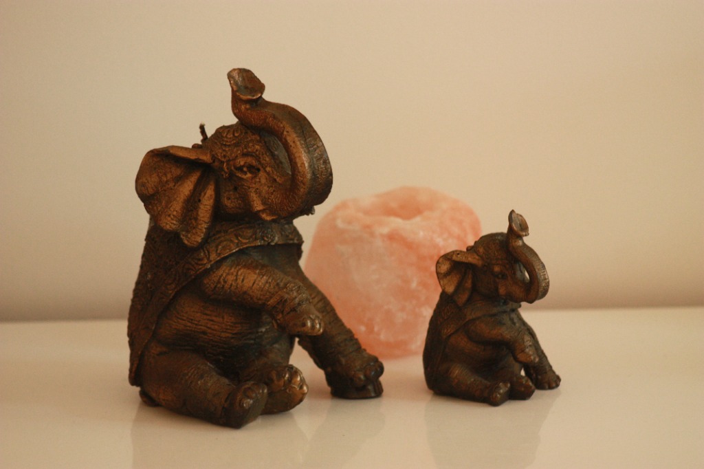 photo diplome Christelle Bonhomme HOLLY’COM