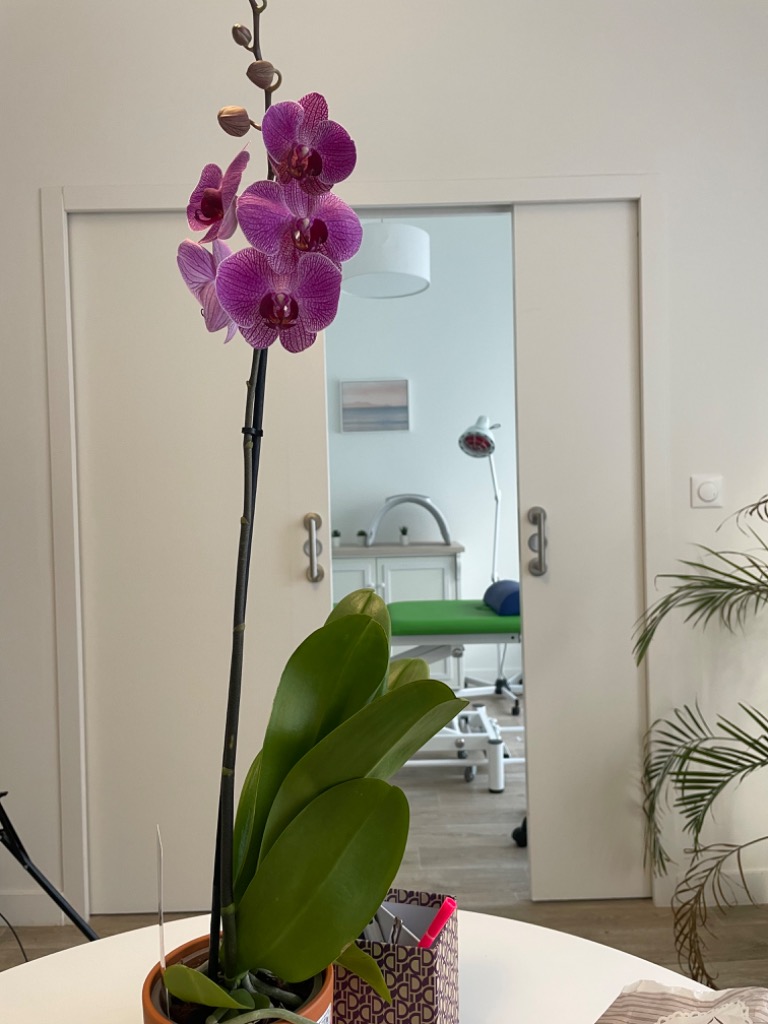 photo cabinet Zen-Therapy