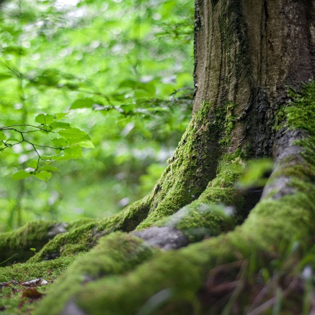 photo activite Un temps à la rencontre de soi