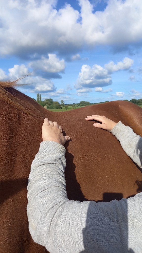 photo activite Cécile LE MAT