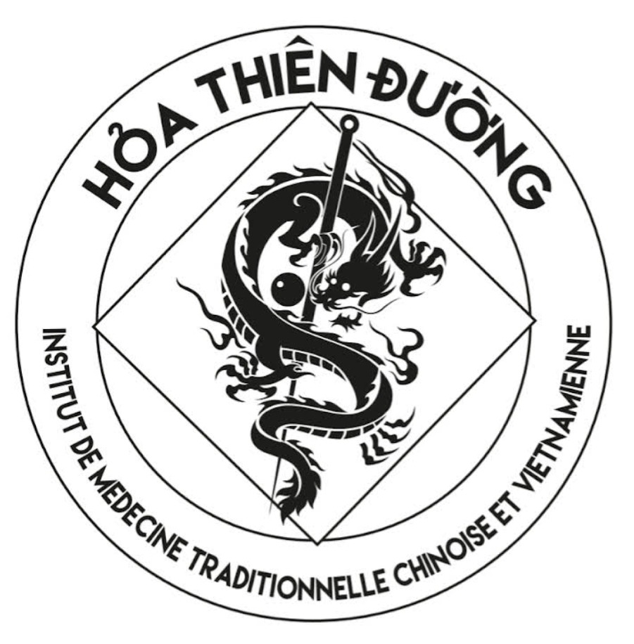 photo portrait Damien Dupaty 