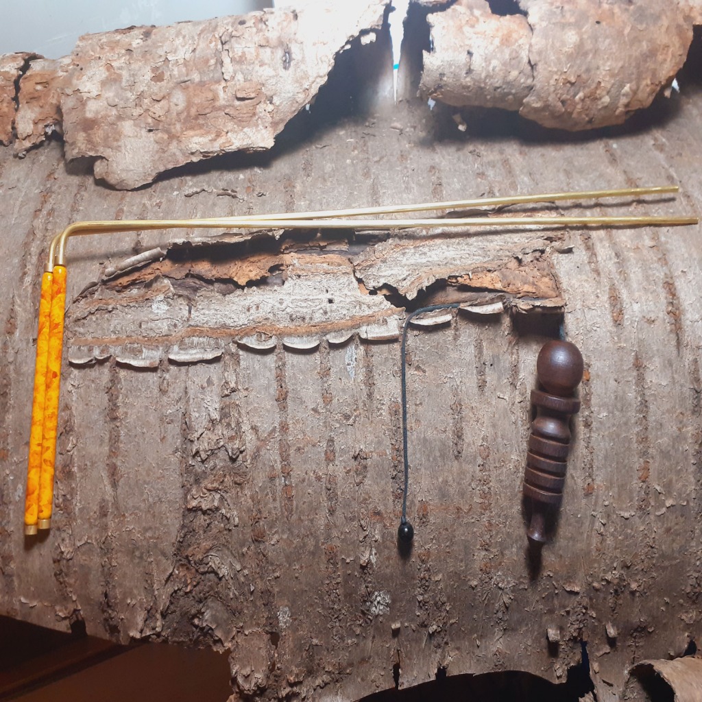 photo activite JUDITH PUGLIESE