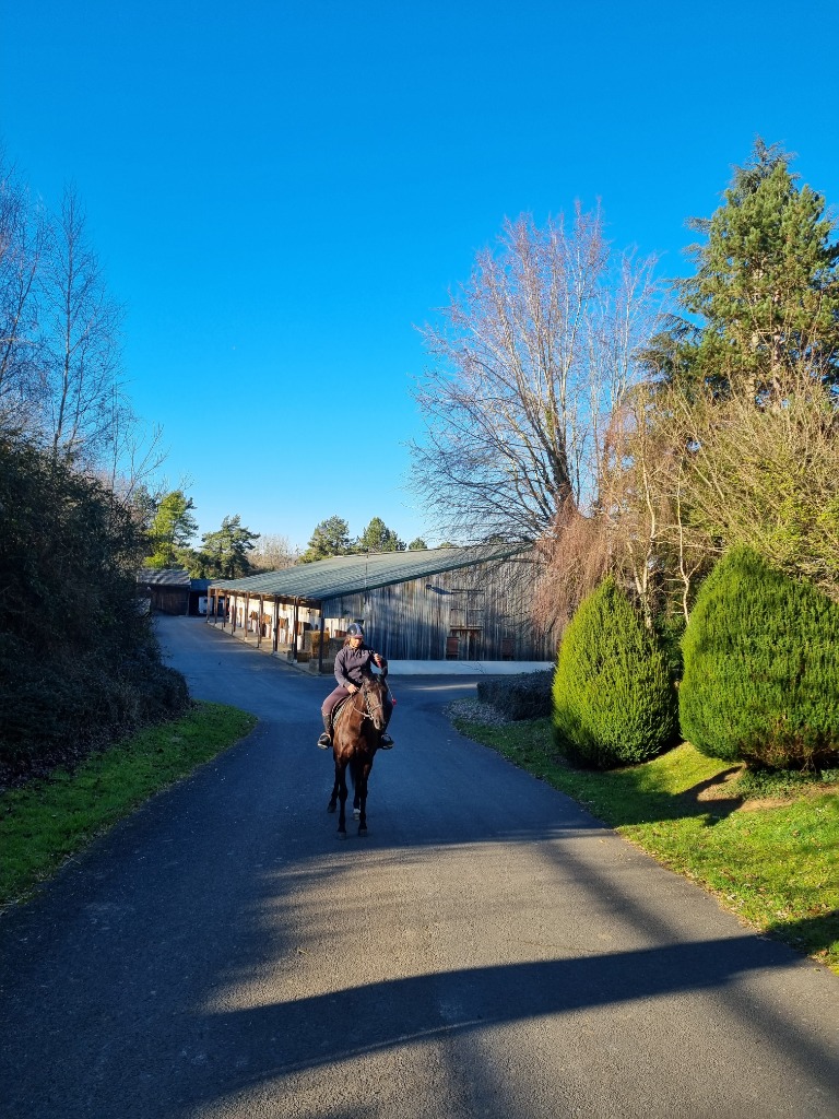 photo cabinet Laurie Soufflet