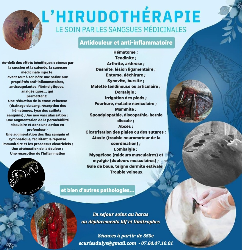 photo seance Laurie Soufflet