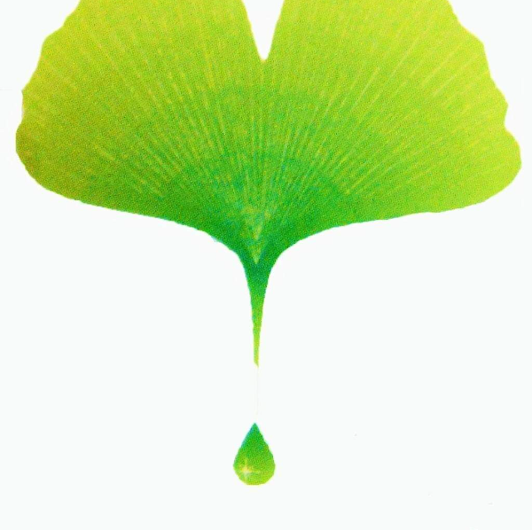 Marie-Hélène Teissier