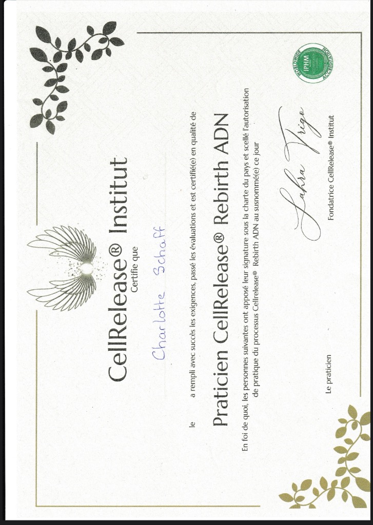 photo diplome Les maux de l’âme 