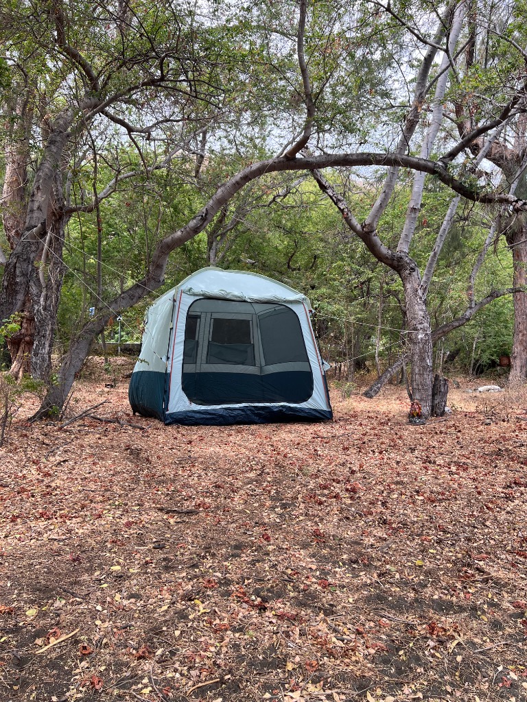 photo cabinet Nourry Béatrice 