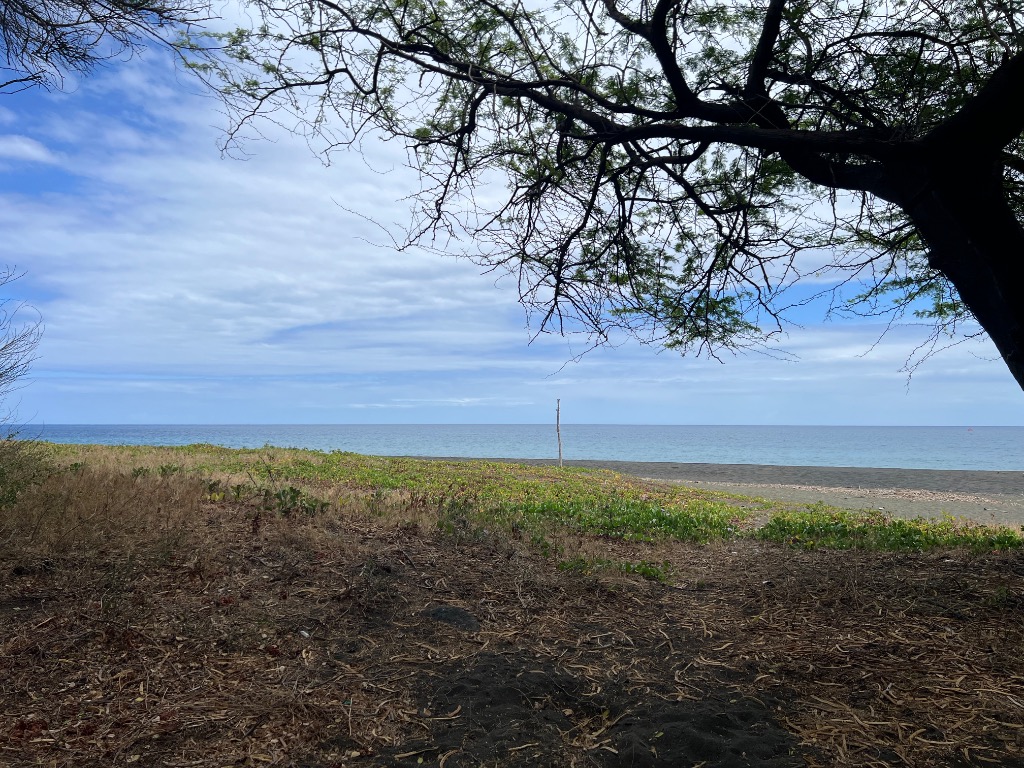 photo seance Nourry Béatrice 