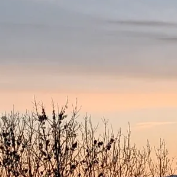 "Les Massages de Vanessa "