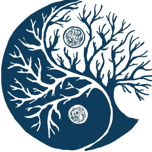 Main Sage - Thérapie Crânio-Sacrée