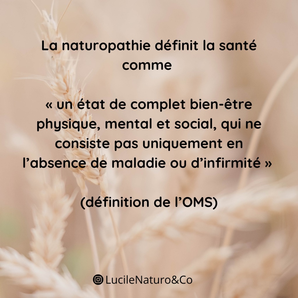 photo activite Lucile Morin