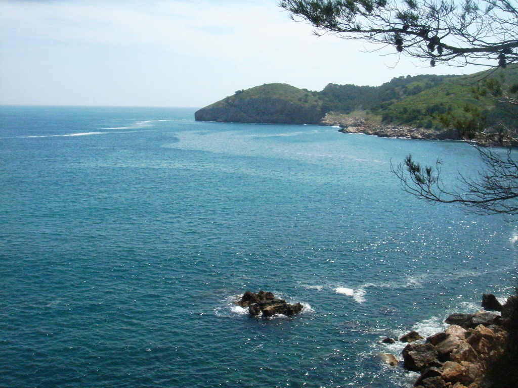 photo cabinet Paul Barry psychologue clinicien