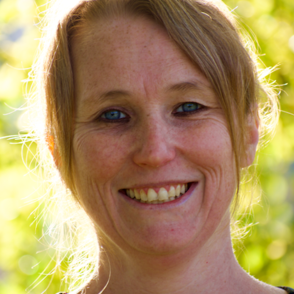 Delphine Pirot- Fleur de cosmos