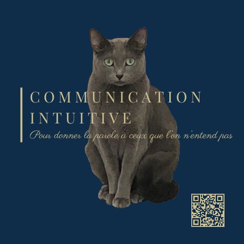 photo activite Sophie Dauphin MEMOIRE DU CORPS