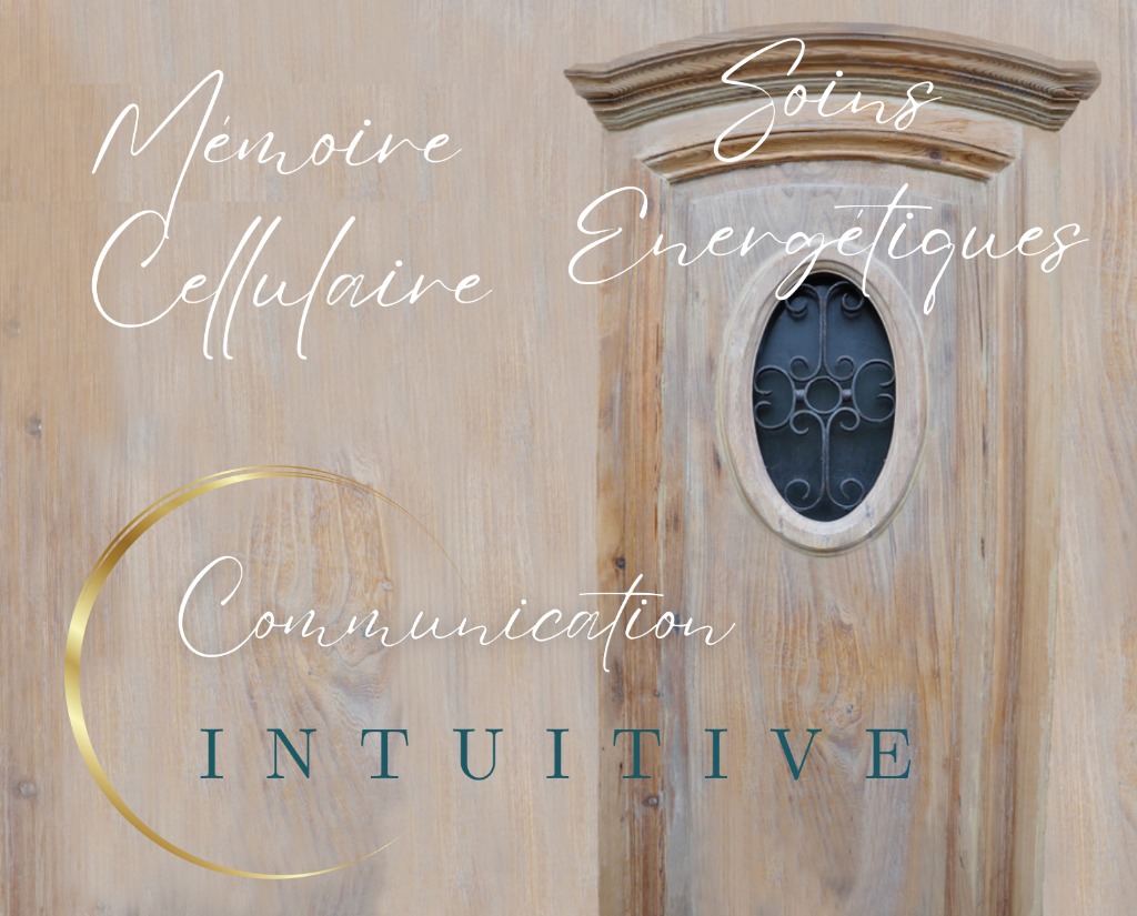 photo cabinet Sophie Dauphin MEMOIRE DU CORPS