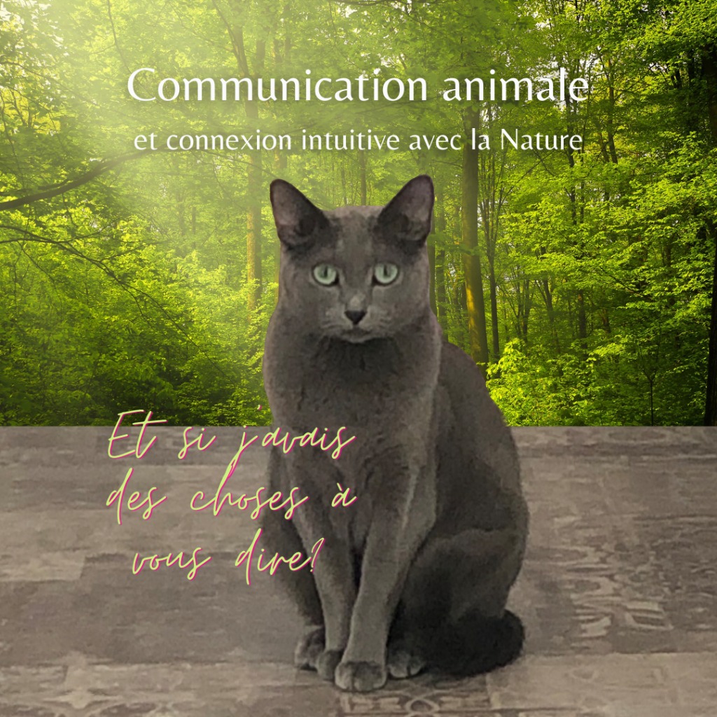 photo seance Sophie Dauphin MEMOIRE DU CORPS