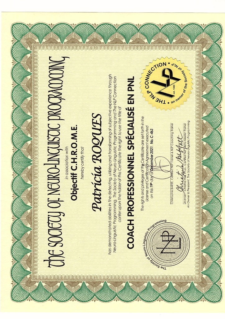 photo diplome Solutionshpitdhaatypies Patricia Roques