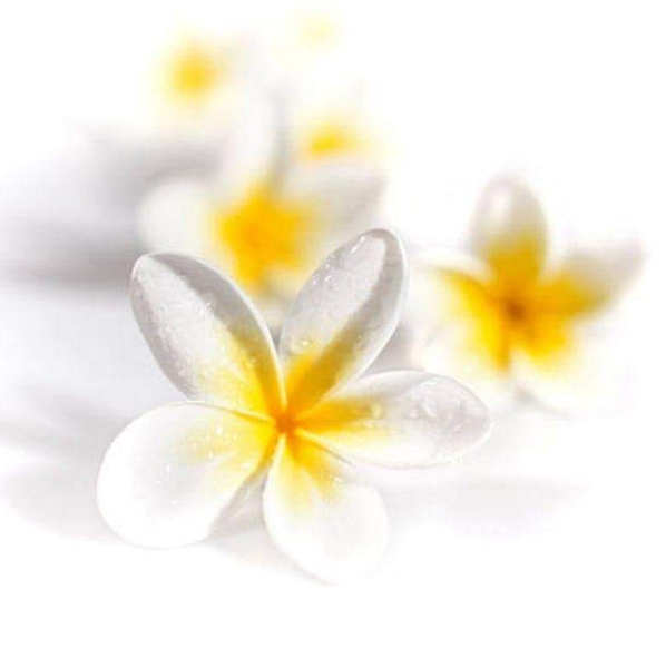 Étincelle Bien Être Carpe Diem