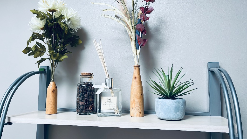 photo activite DE AGOSTINI THERAPIE 