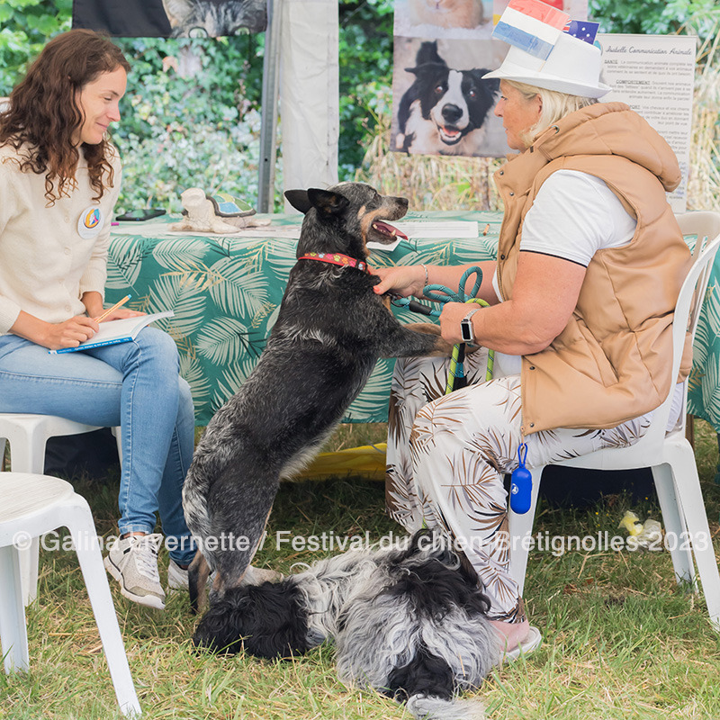 photo activite Isabelle QUINTARD