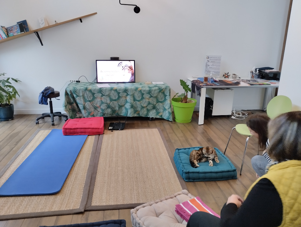 photo cabinet Isabelle QUINTARD