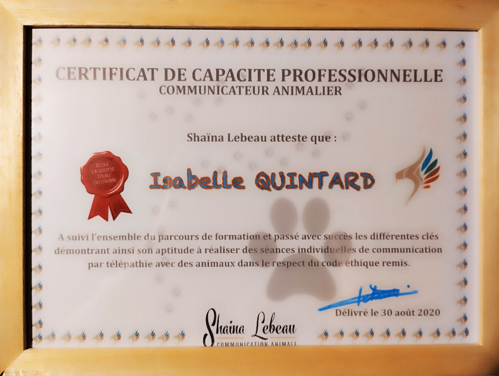 photo diplome Isabelle QUINTARD