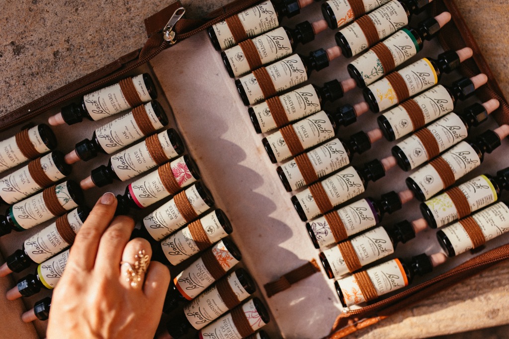 photo activite Vanessa SOULIAS