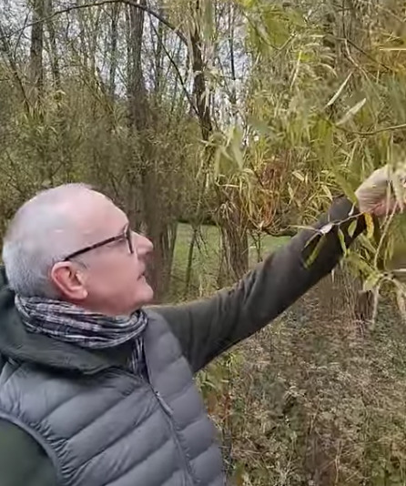 photo activite Jacques Turpin (Spagyrusz)