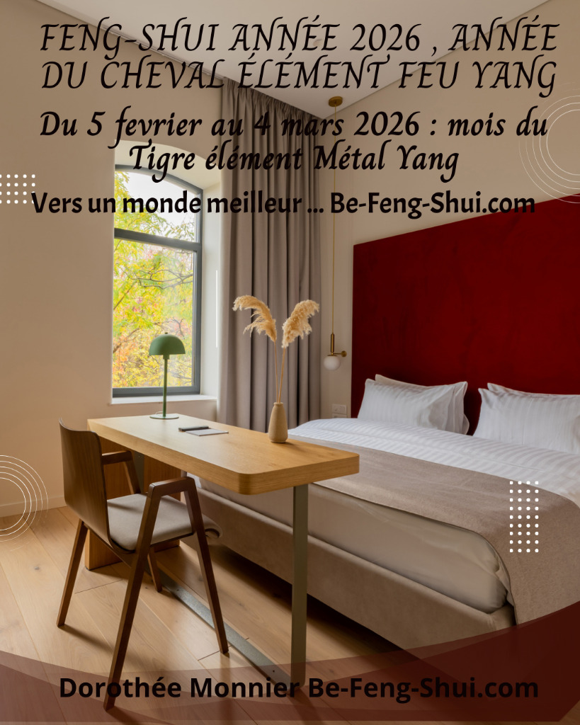 photo activite Monnier Dorothée