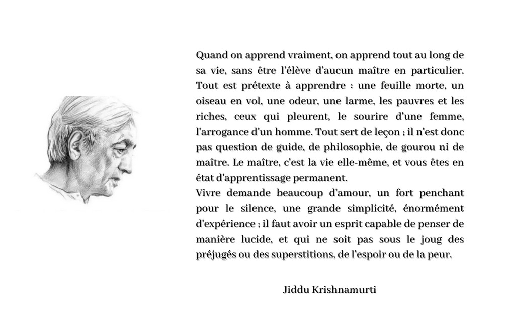 photo activite Alexis Robache