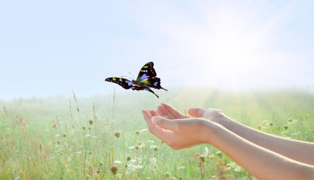 photo portrait Virginie Lavauzelle