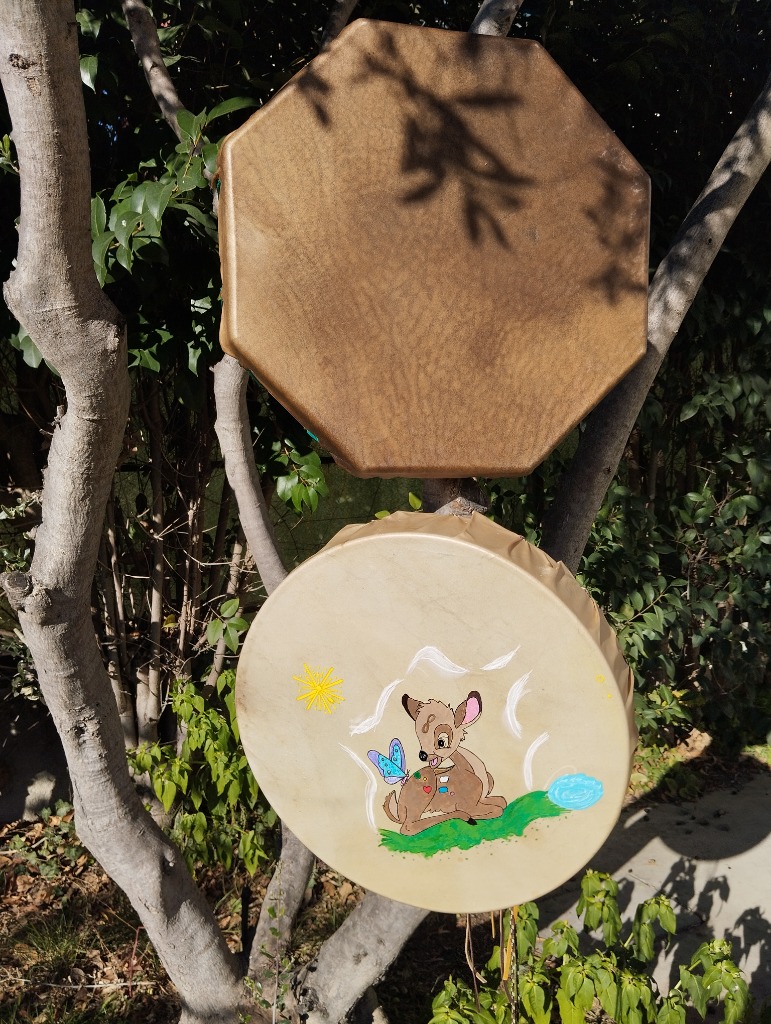 photo activite Sonia Energéticienne. Praticienne EFT, PNL, Chaman