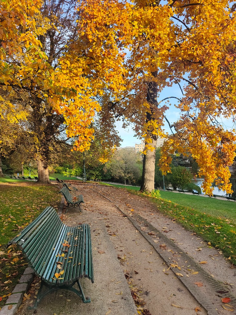 photo cabinet EL ASSAAD SALMA COACHING