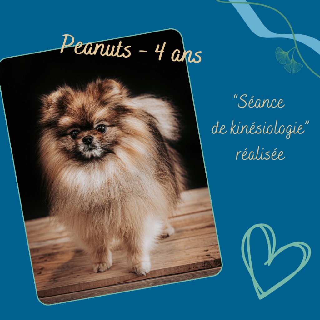 photo activite Charline AUDIT