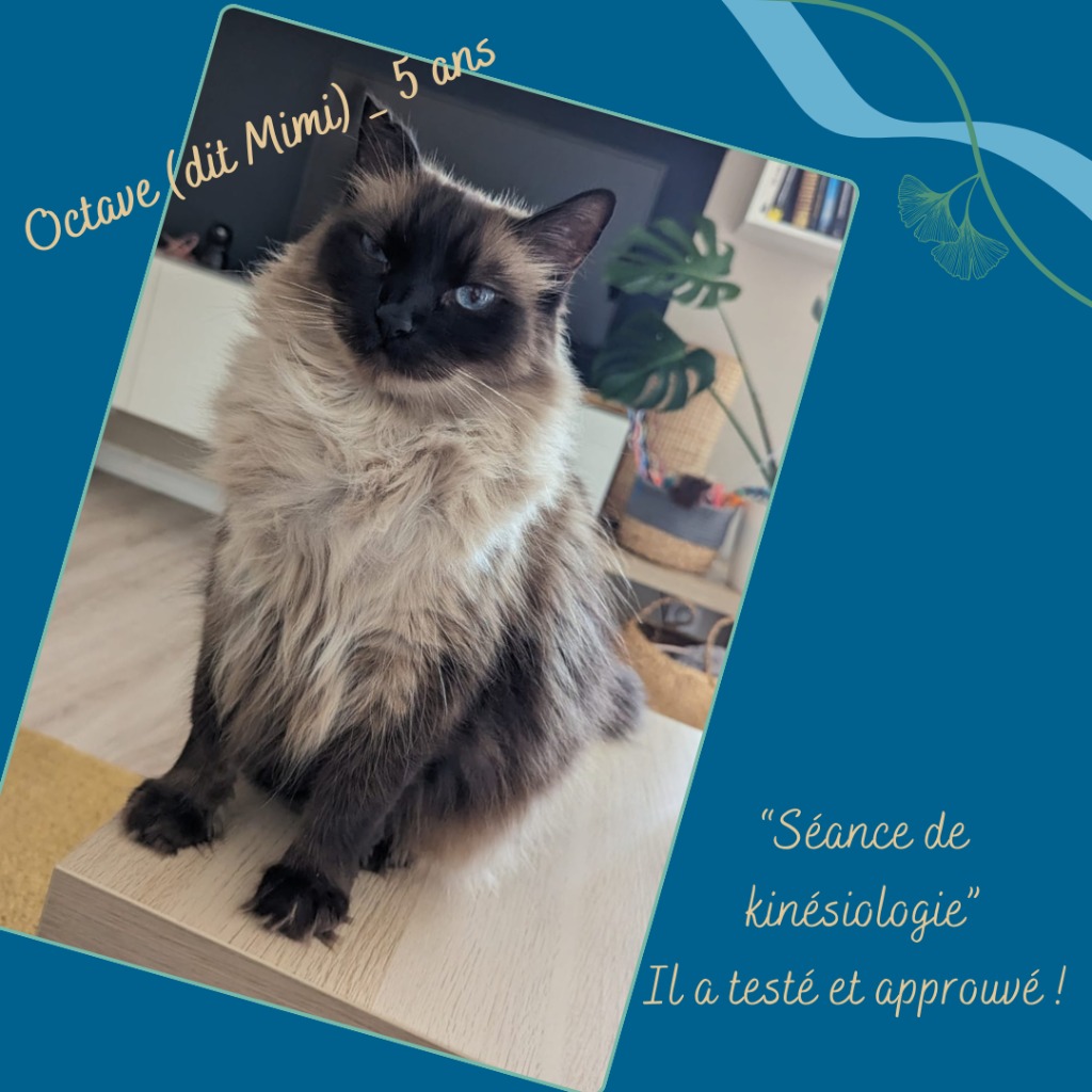 photo seance Charline AUDIT