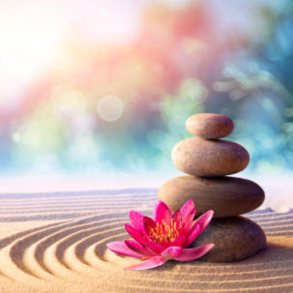 Sensi-Harmonie - Vanessa Montovert