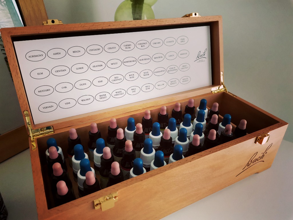 photo activite Tiffany Desplaces