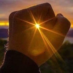 photo cabinet Yann LEFEVRE