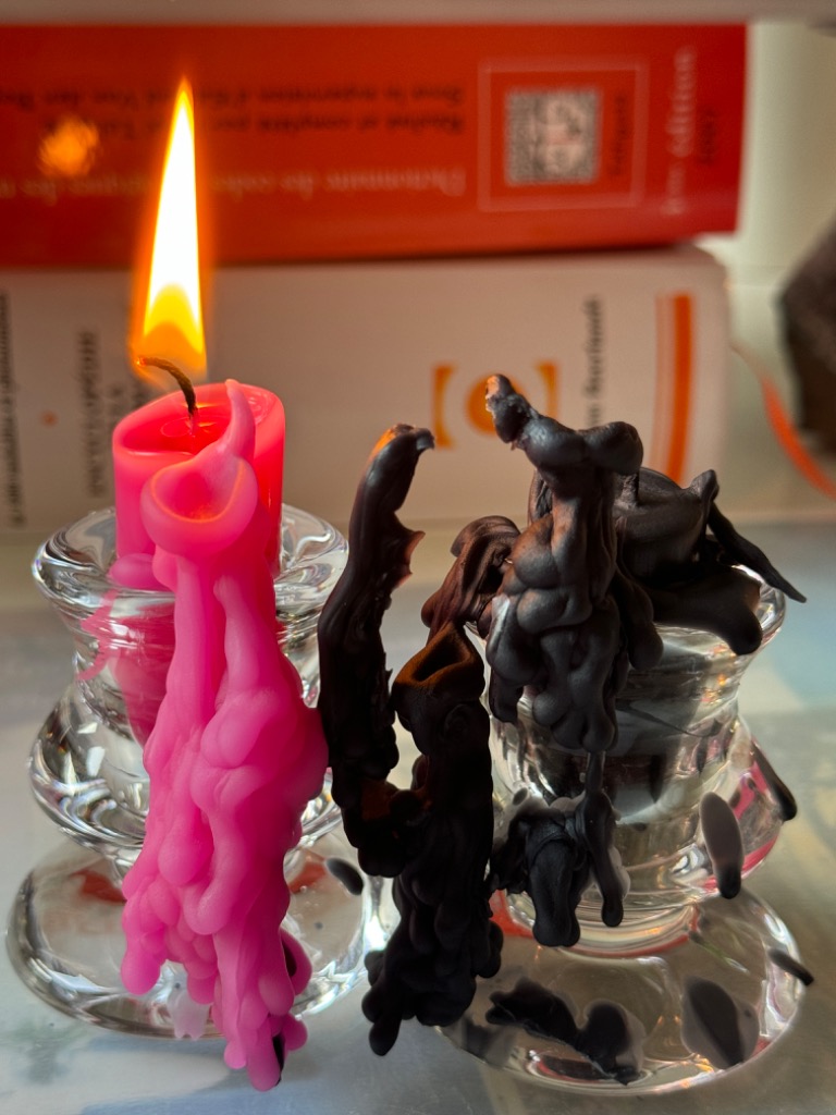 photo activite Frédérique DAMERVAL