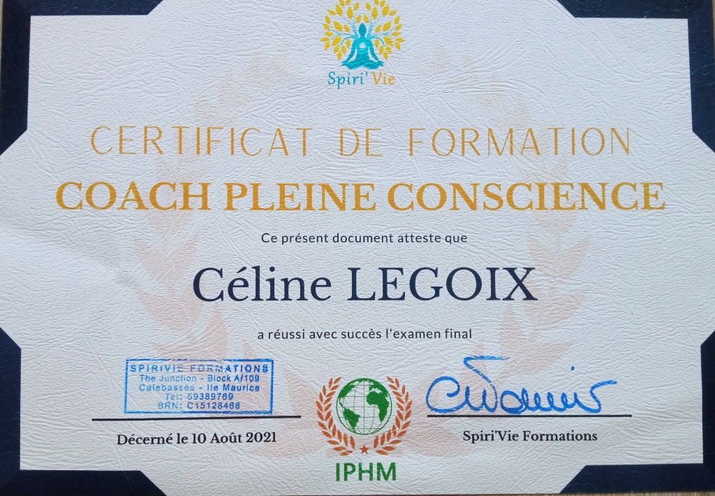 photo cabinet Nomad’Âme Céline Legoix