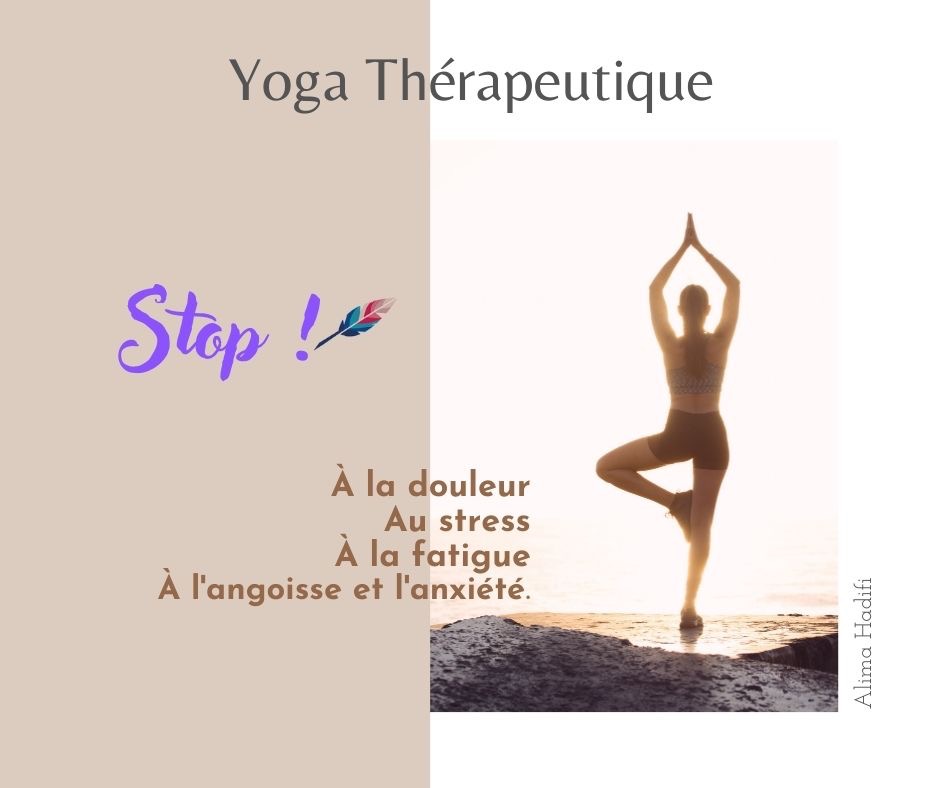 photo cabinet Alima Hadifi