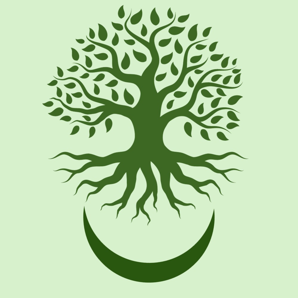 photo portrait Guillain Najar