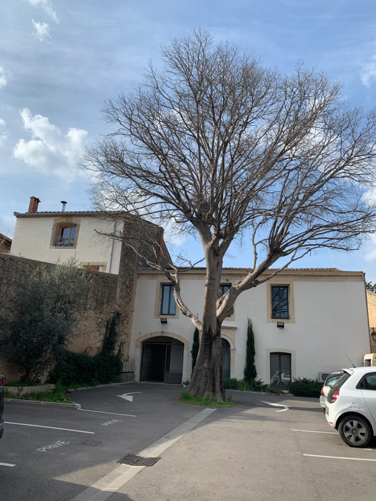 photo activite Anne Marie ARNOULD