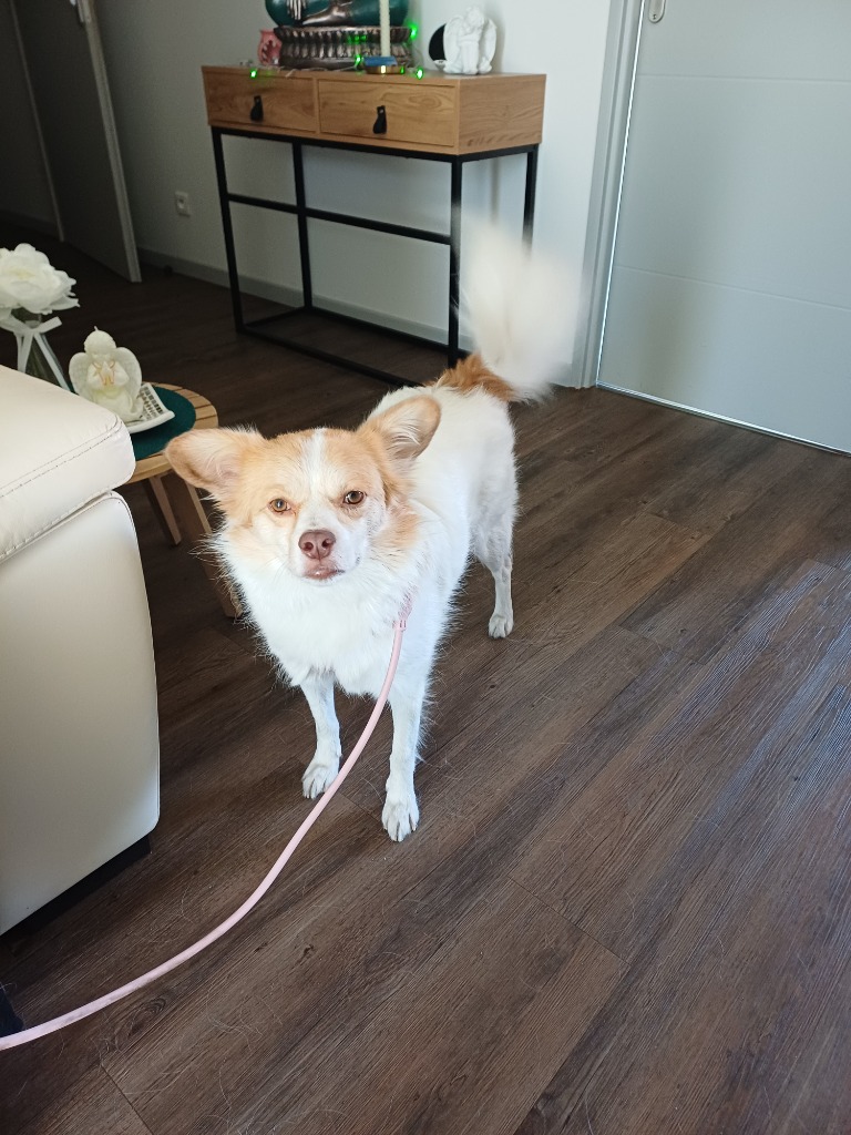 photo seance Pierrette RORGUE 