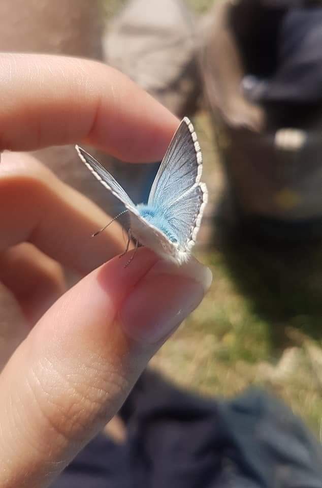 photo seance Guy DUPONCHEL